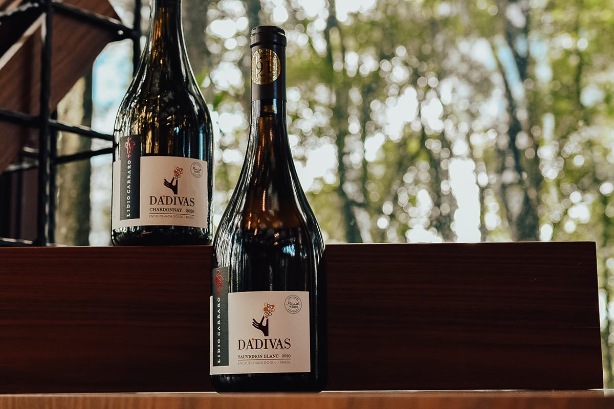 Lidio Carraro indica os vinhos ideais para o verão